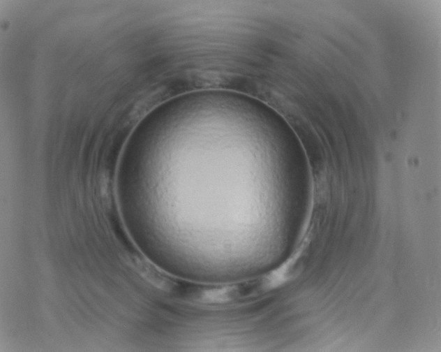 X0000076430178200610202254