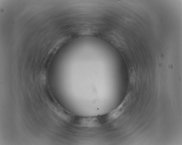 X0000076430179200610202254