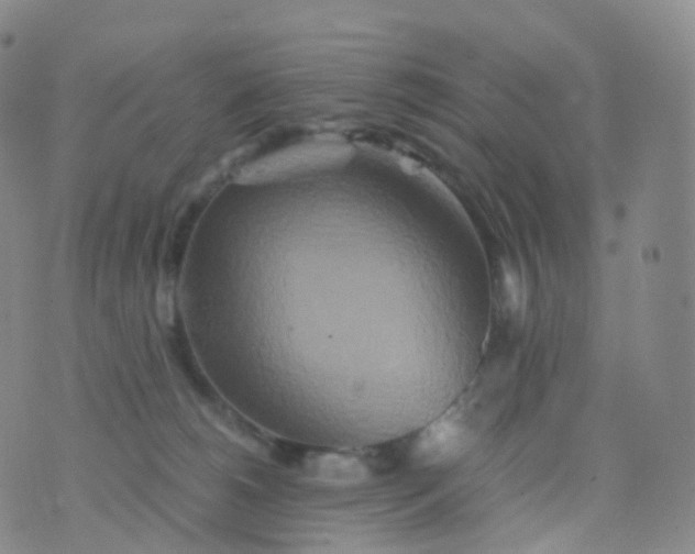 X0000076430180200610202254