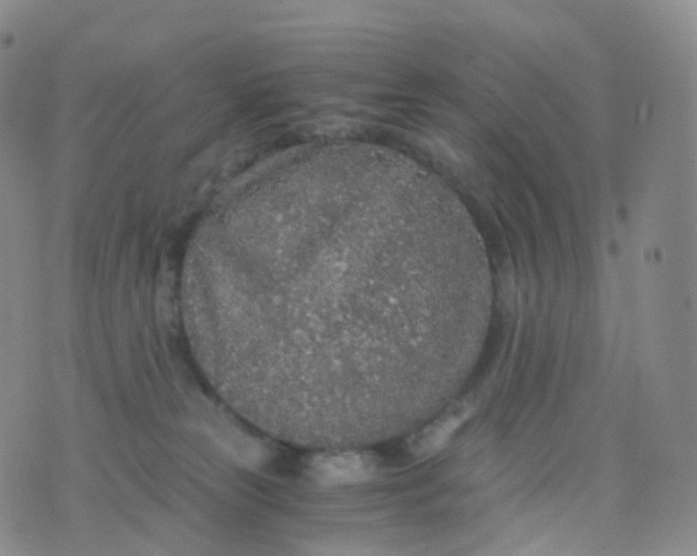 X0000076430181200610202254