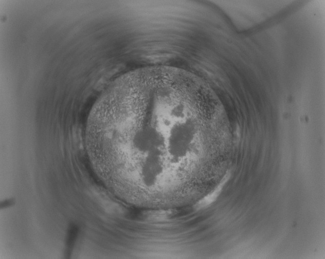 X0000076430182200610202254