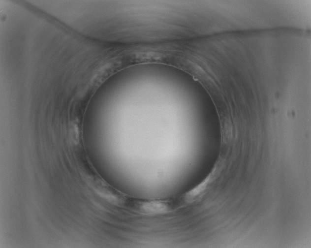 X0000076430183200610202254