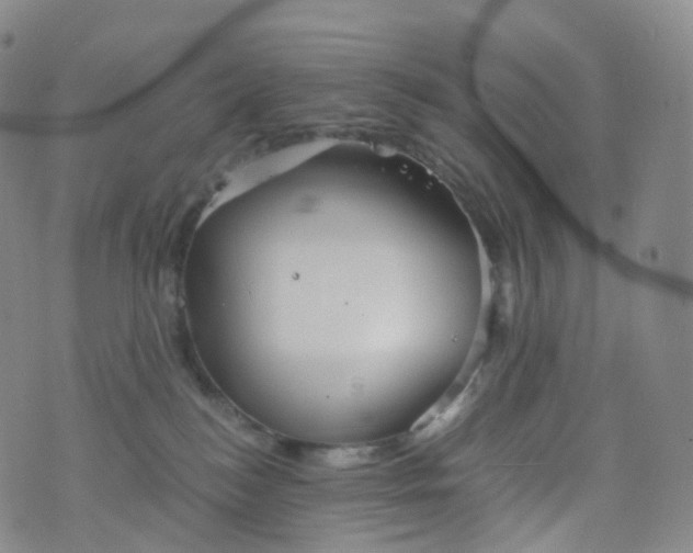 X0000076430184200610202254