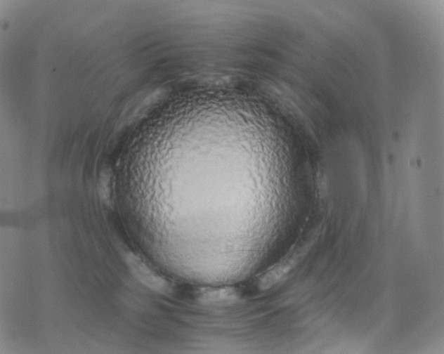 X0000076430185200610202254