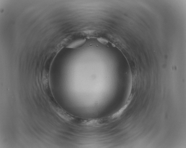 X0000076430186200610202254