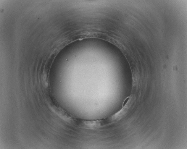 X0000076430187200610202254