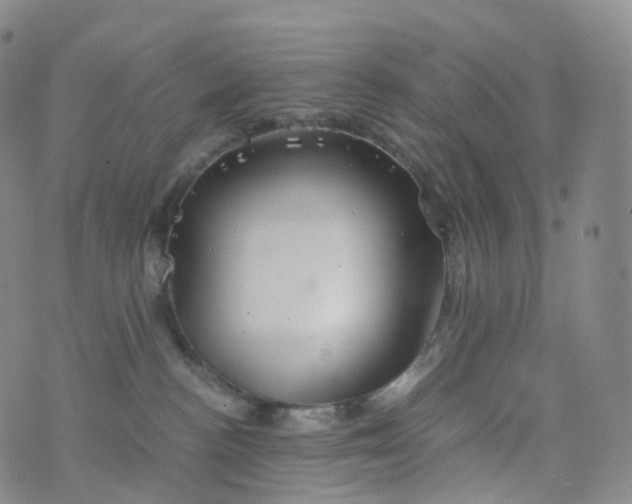 X0000076430188200610202254