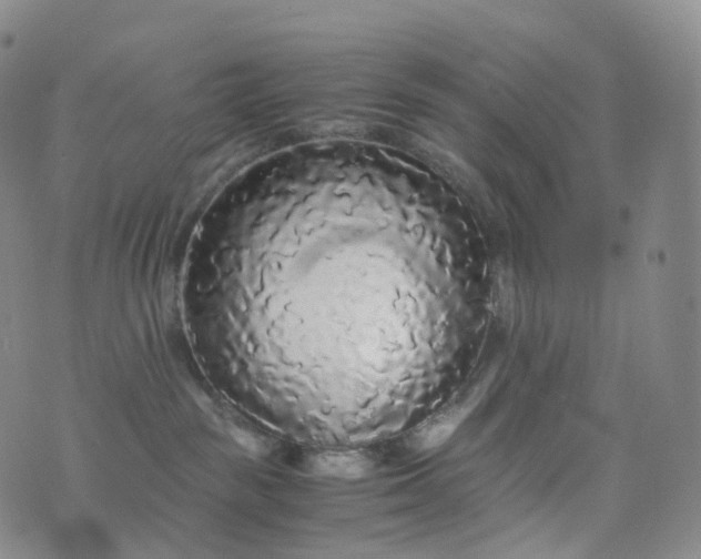 X0000076430189200610202254