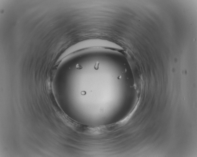 X0000076430190200610202254