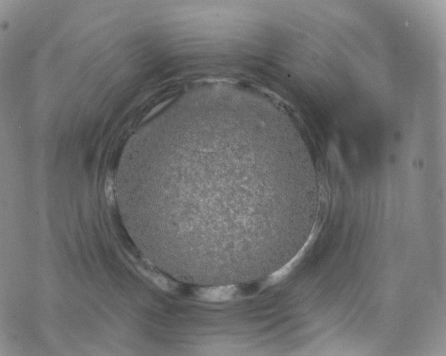 X0000076430191200610202254