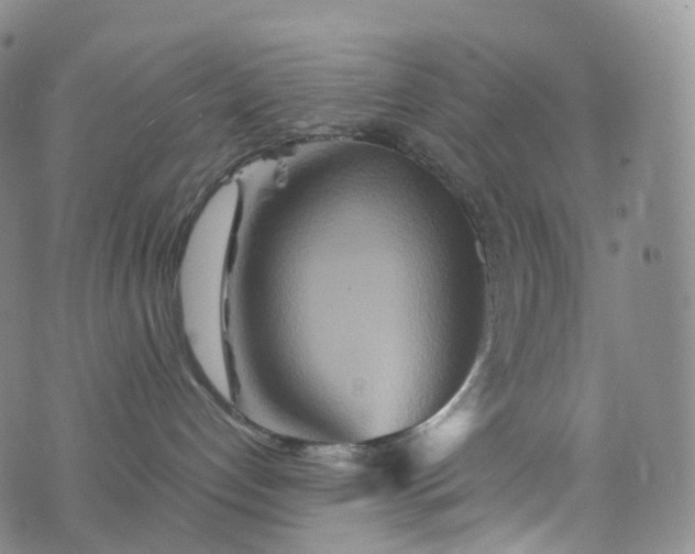 X0000076430192200610202254