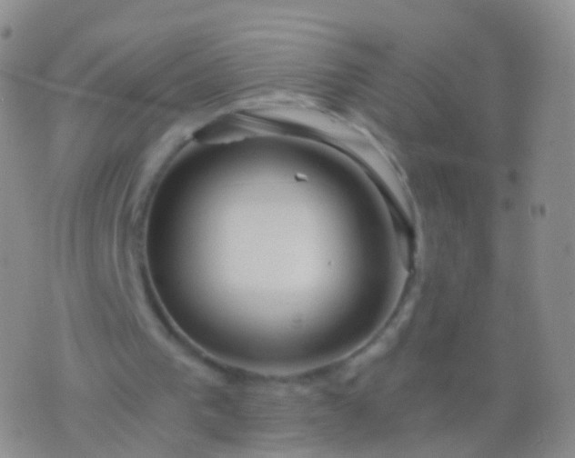 X0000076430193200610202253