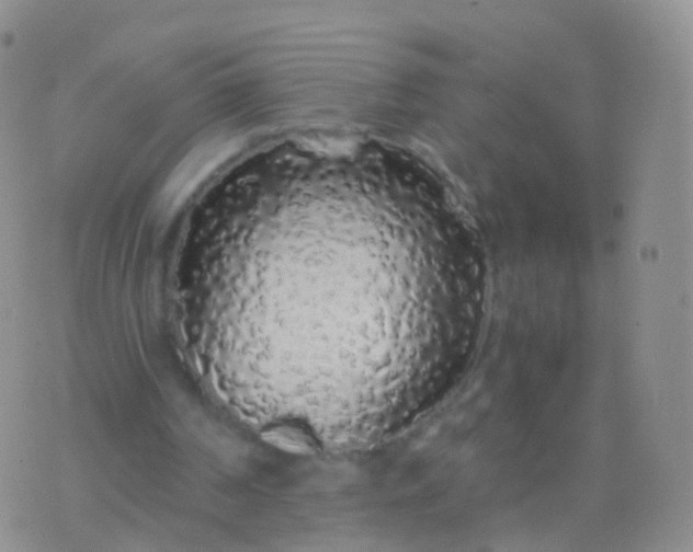 X0000076430194200610202253