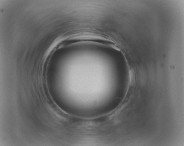 X0000076430195200610202253