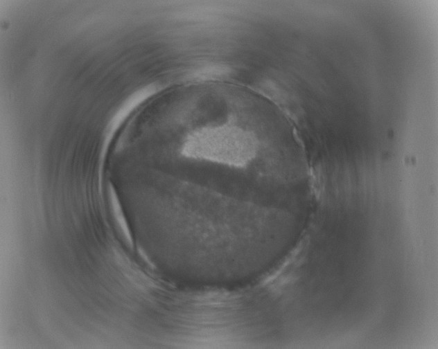 X0000076430196200610202253