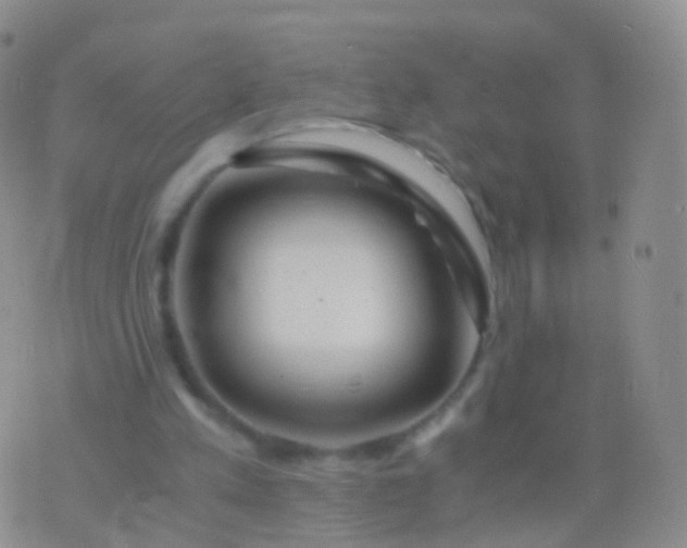 X0000076430197200610202253