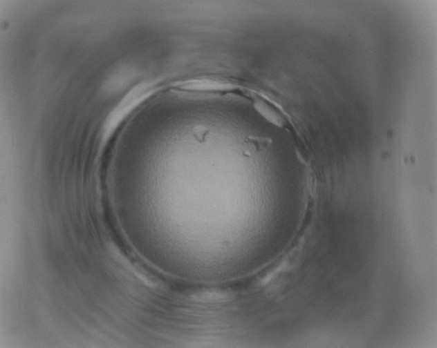 X0000076430198200610202253