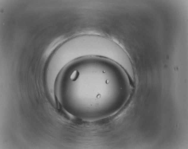 X0000076430199200610202253