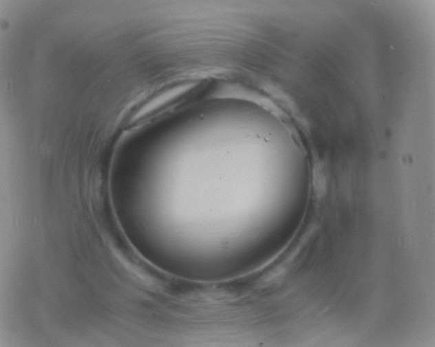 X0000076430201200610202253