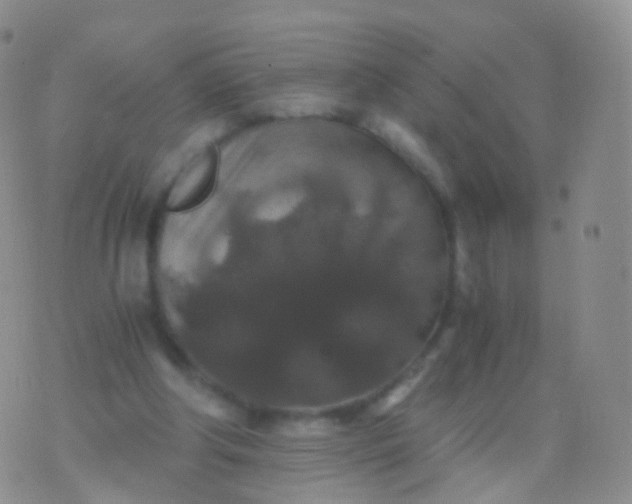 X0000076430202200610202253