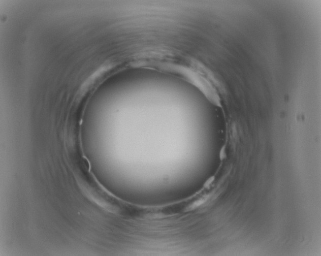 X0000076430203200610202253