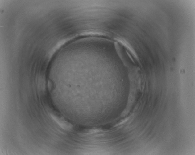 X0000076430204200610202253