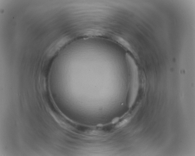 X0000076430205200610202253