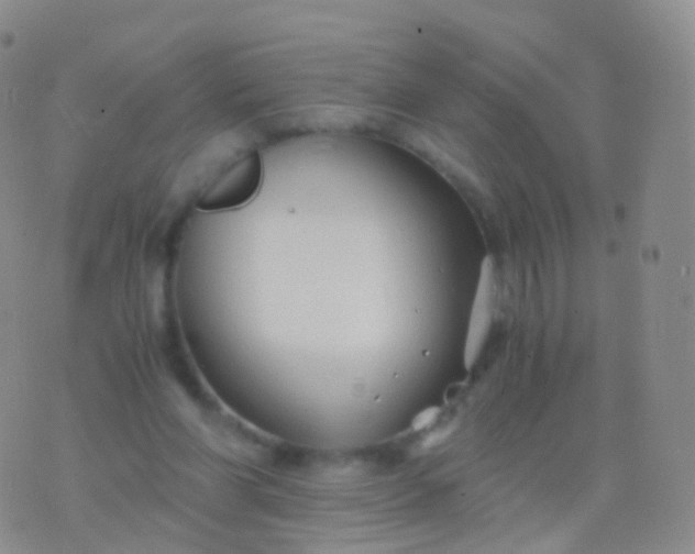 X0000076430206200610202253