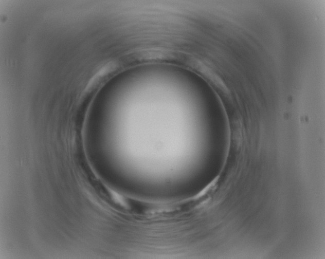 X0000076430207200610202253