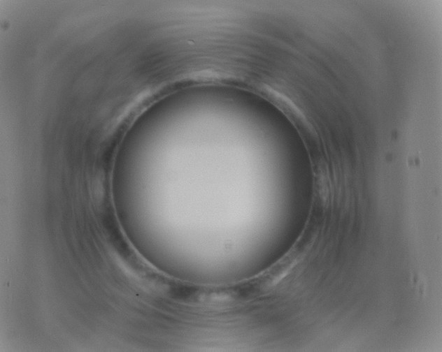 X0000076430208200610202253