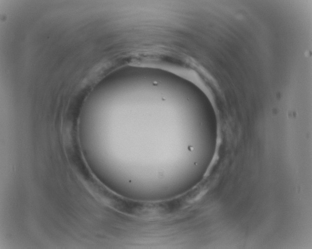 X0000076430209200610202253