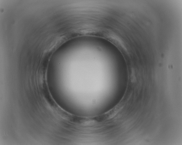 X0000076430210200610202253