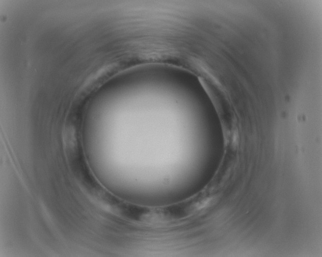 X0000076430211200610202253