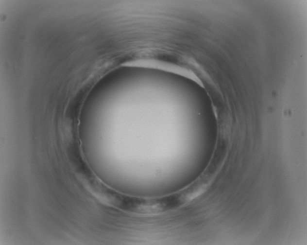 X0000076430213200610202253