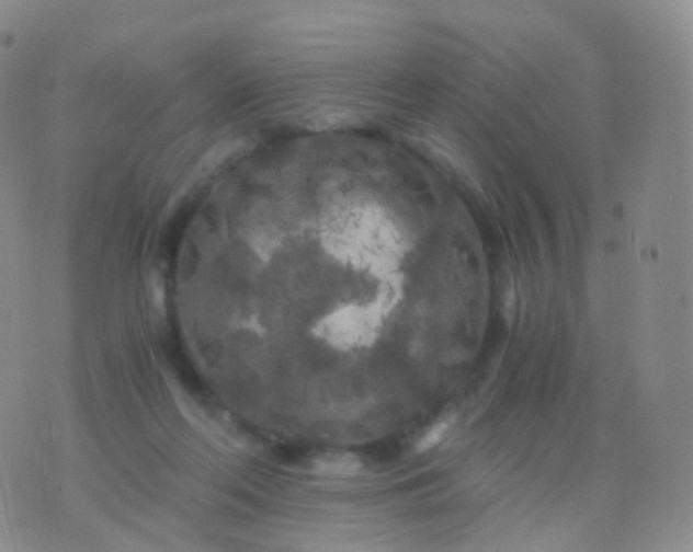 X0000076430214200610202253