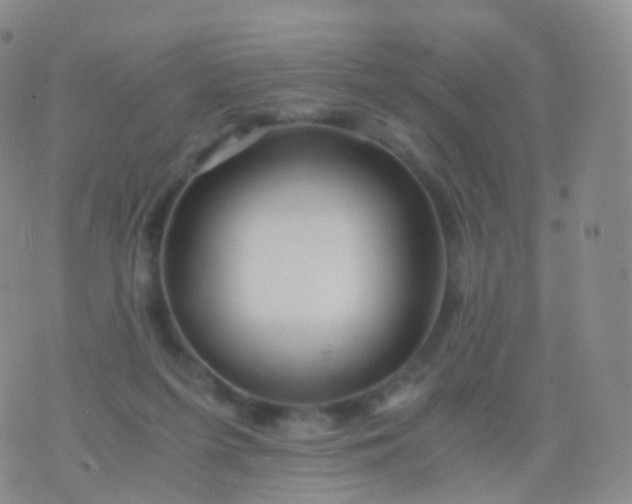 X0000076430215200610202253