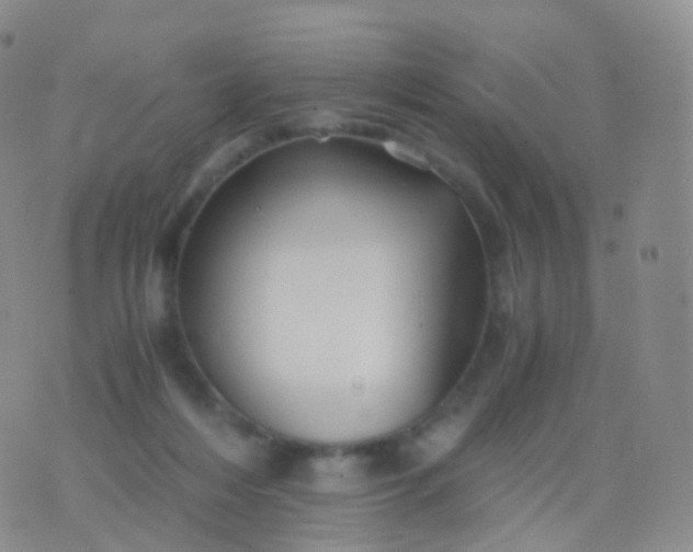 X0000076430216200610202253