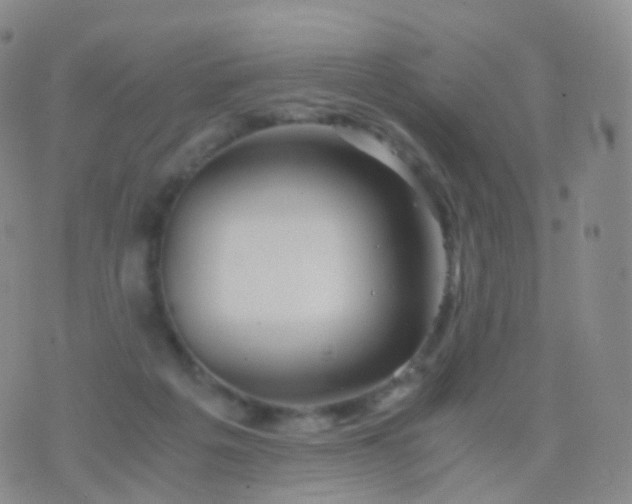 X0000076430217200610202253