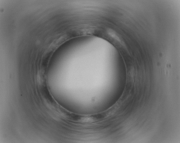 X0000076430218200610202253