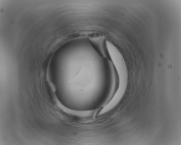 X0000076430219200610202253