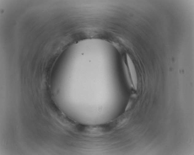 X0000076430221200610202253