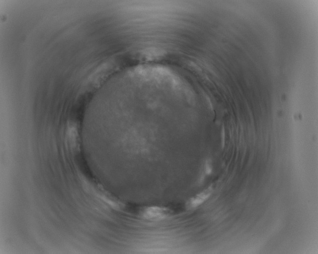 X0000076430222200610202253