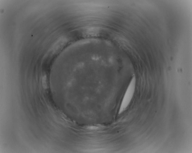 X0000076430224200610202253