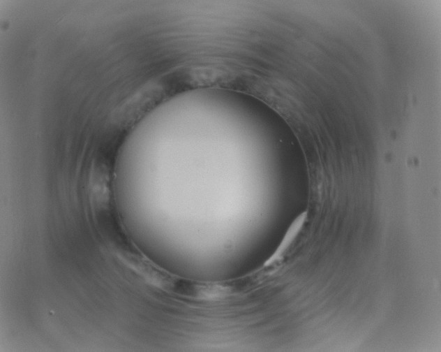 X0000076430226200610202253