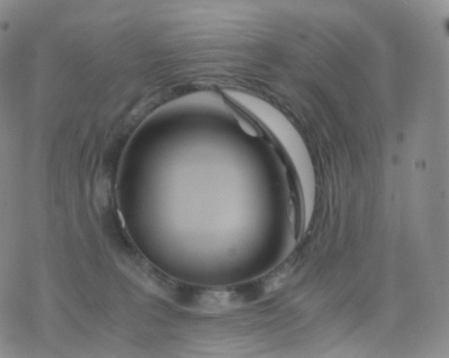 X0000076430227200610202253