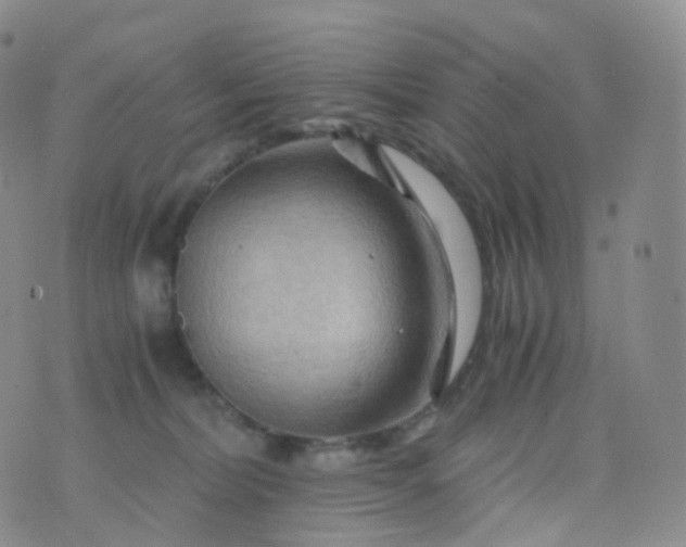 X0000076430228200610202253