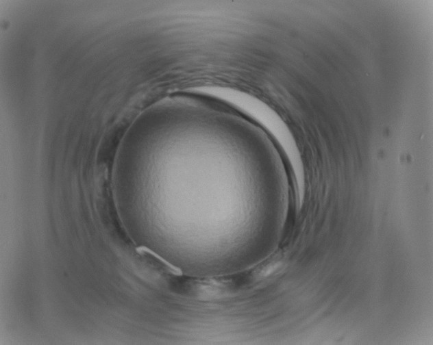 X0000076430229200610202253