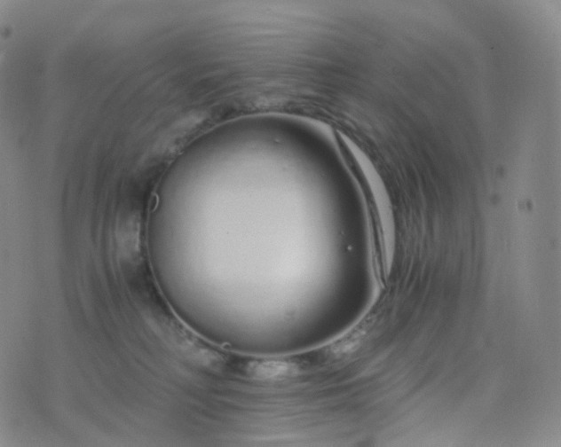 X0000076430230200610202253