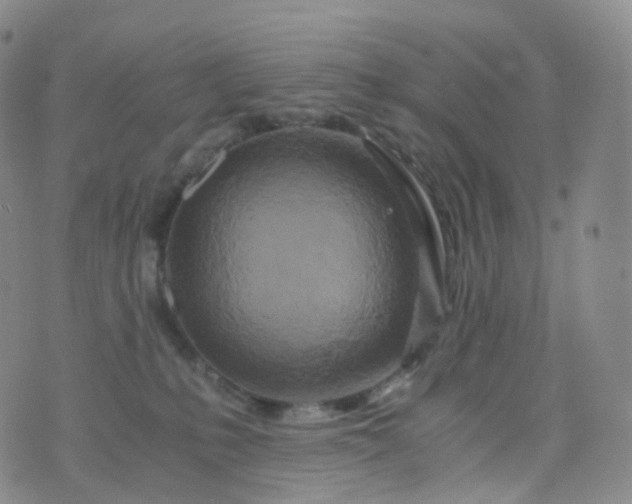 X0000076430231200610202253