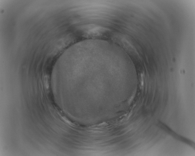 X0000076430232200610202253